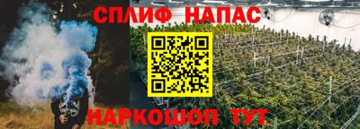 гашик Нягань