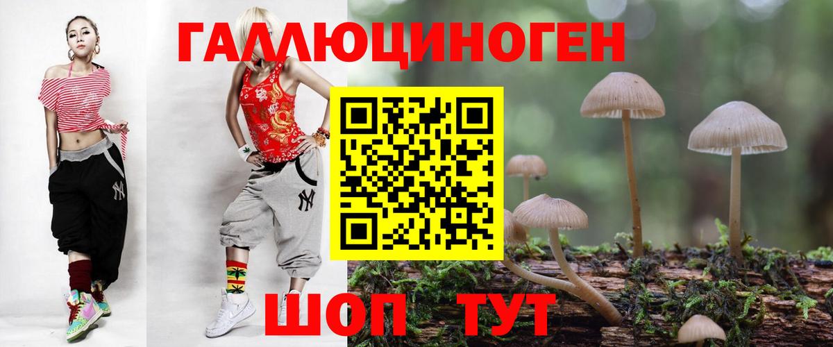 Саяногорск  Псилоцибиновые грибы прущие грибы  Вход с VPN 